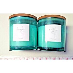 2 Pack - Citronella Candle Outdoor Indoor, 13 oz 1-Wick Jar Candle for Summer